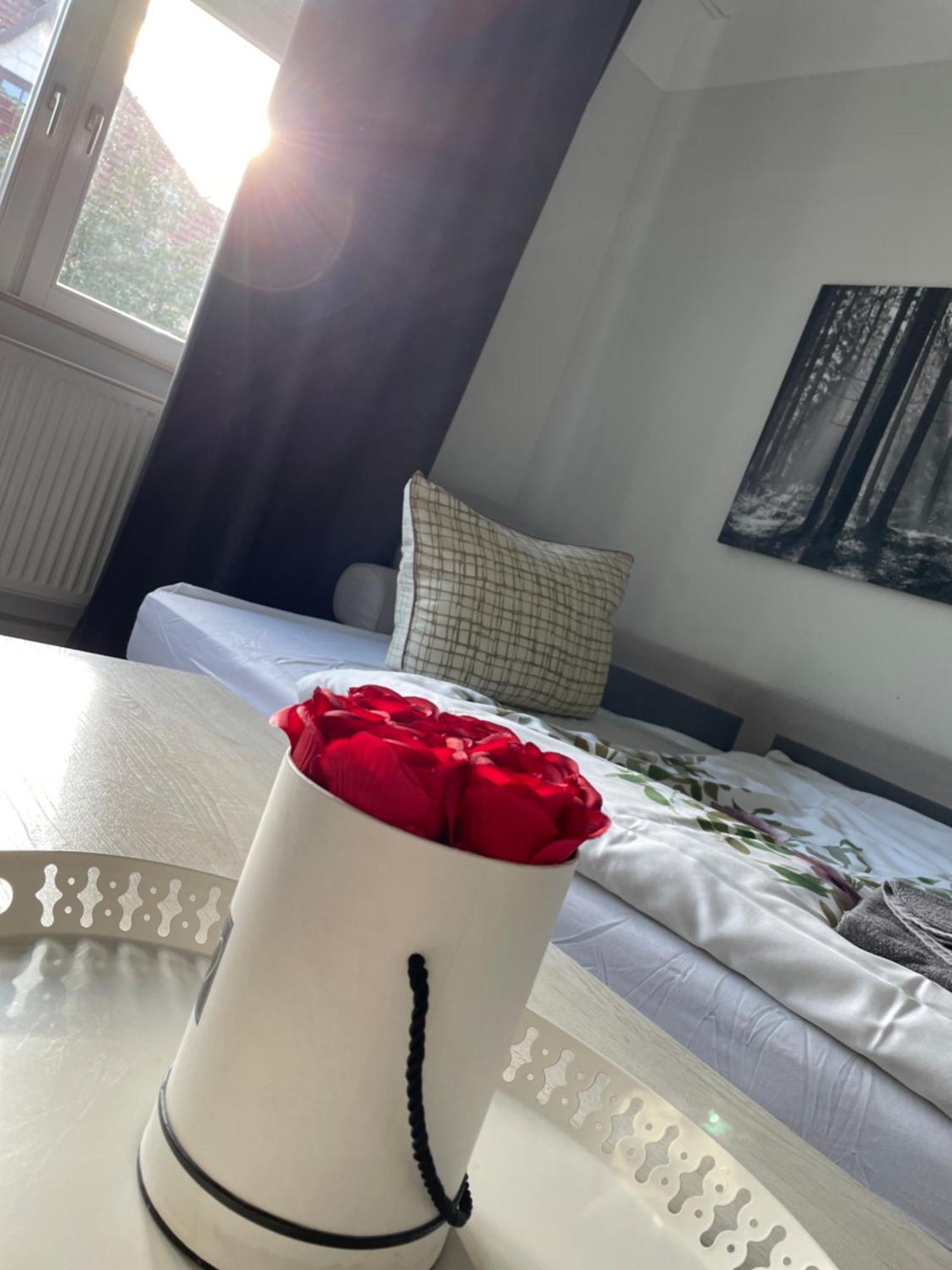 Appartement Gemuetliche In Der Stadt 1 *